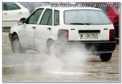 Auto-inquinante