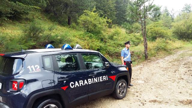 CARABINIERI LONGOBUCCO BOSCO 2018