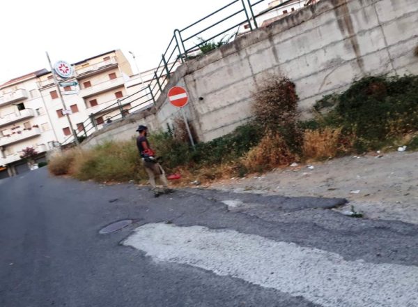 CARIATI-VERDEPUBBLICO (2)