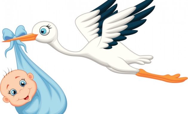 CICOGNA FIOCCO AZZURRO