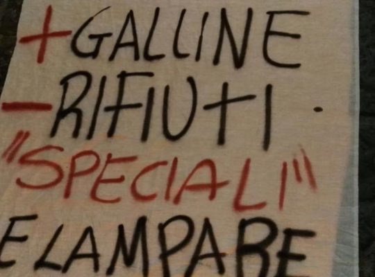 Grande successo la Marcia Lenta per la terra e la salute 28.7 (1)