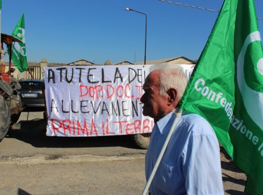 Grande successo la Marcia Lenta per la terra e la salute 28.7 (2)
