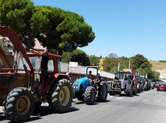 Grande successo la Marcia Lenta per la terra e la salute 28.7 (4)