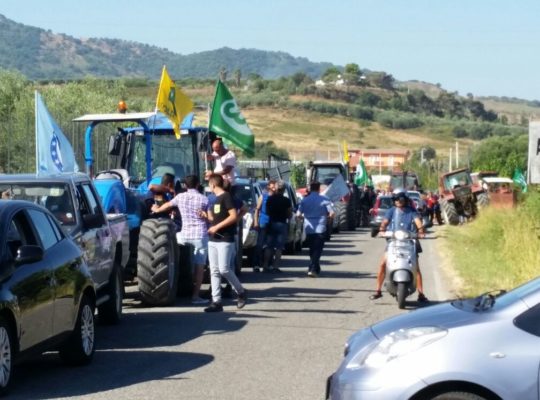 Grande successo la Marcia Lenta per la terra e la salute 28.7 (5)