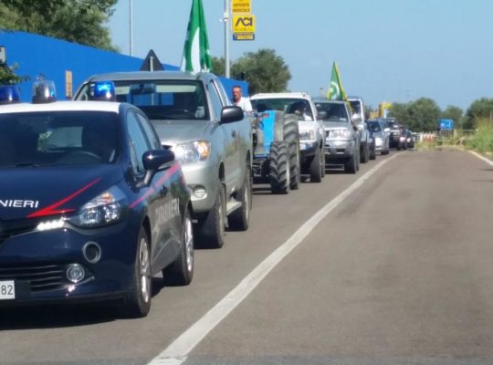 Grande successo la Marcia Lenta per la terra e la salute 28.7 (7)