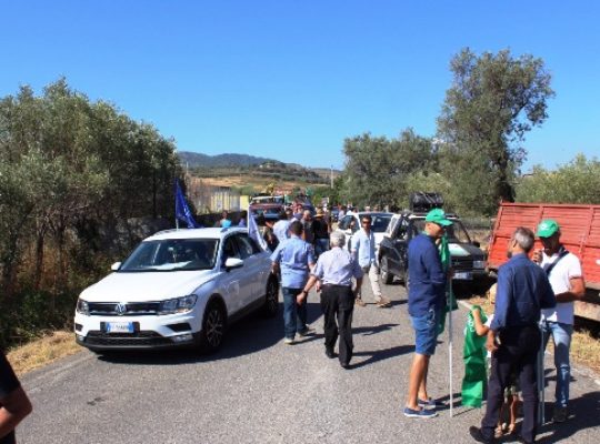 Grande successo la Marcia Lenta per la terra e la salute – comunicato Comitati B.I. 28.7.0172