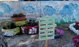 IMG_20210601_100406