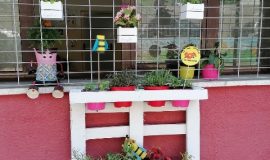 IMG_20210601_100453