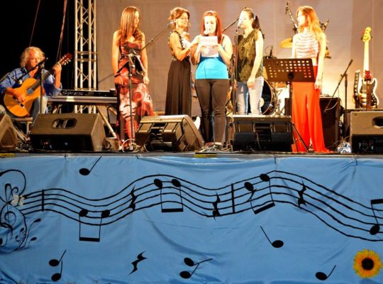 LA MUSICA CHE GIRA INTORNO 2017 SERATA2 (25)