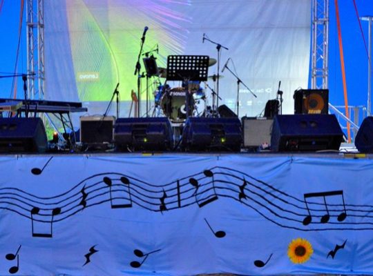 La musica che gira intorno 2017 serata1 (5)