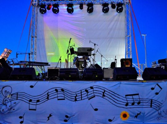 La musica che gira intorno 2017 serata1 (6)