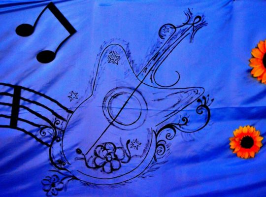 La musica che gira intorno 2017 serata1 (8)