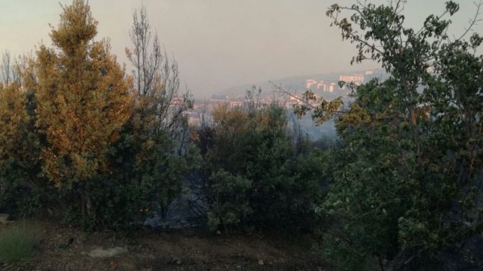 MANDATORICCIO-INCENDI (2017)