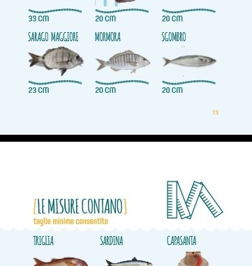 MINIGUIDA gac 2016