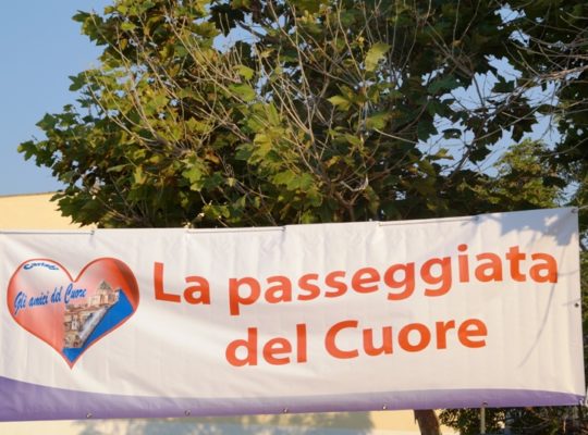 Passeggiata del cuore 2017 (27)