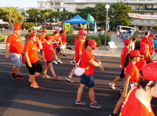 Passeggiata del cuore 2017 (45)