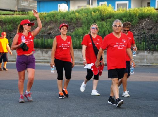 Passeggiata del cuore 2017 (55)