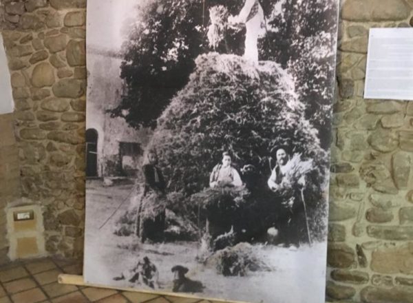 RITOMAIO (17)
