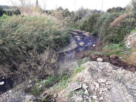 SANTA CATERINA0 LIQUAMI 2019