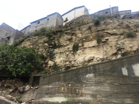 SCALA COELI2 12-2020