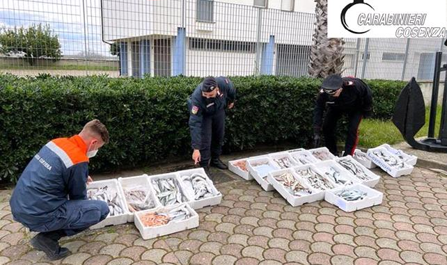 SEQUESTRO PRODOTTI ITTICI