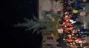 accenzione-albero-natale-cariati-8-12-2016-45