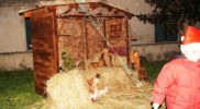 accenzione-albero-natale-cariati-8-12-2016-49