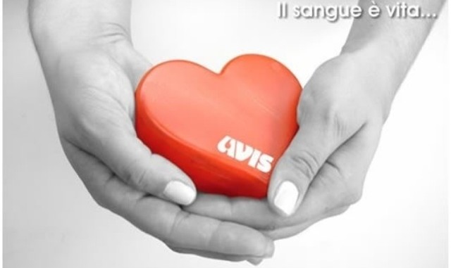 avis
