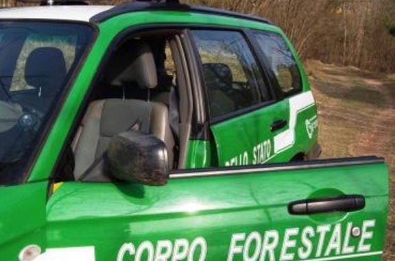 corpo-forestale20jeep