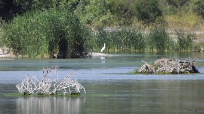foce-fiume-nica-06-2013