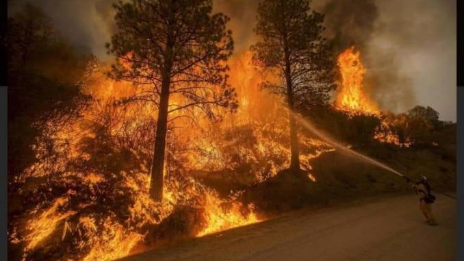 incendio bosco