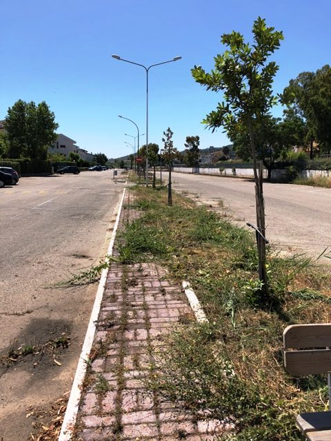 legambiente nica 20-05-2018 mandatoriccio (4)