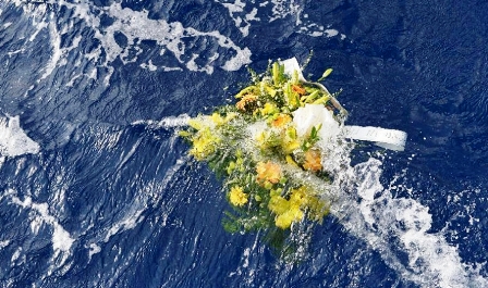 mare20fiori20caduti