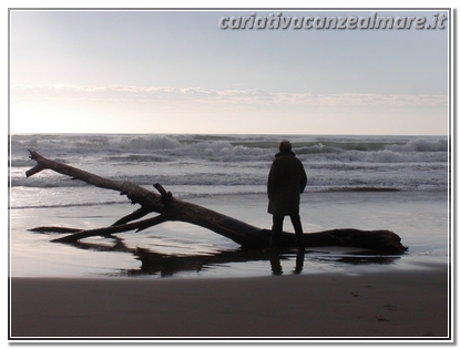 mare_inverno-uomo-albero