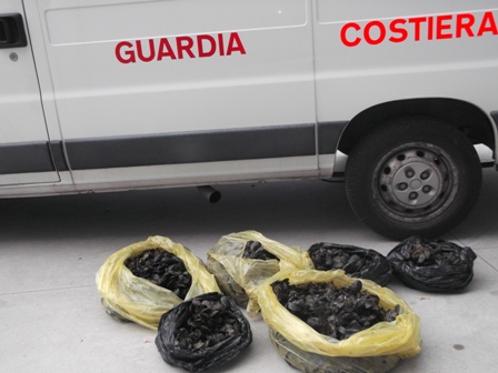 mitili20sequestro20cp20crotone2006-2015