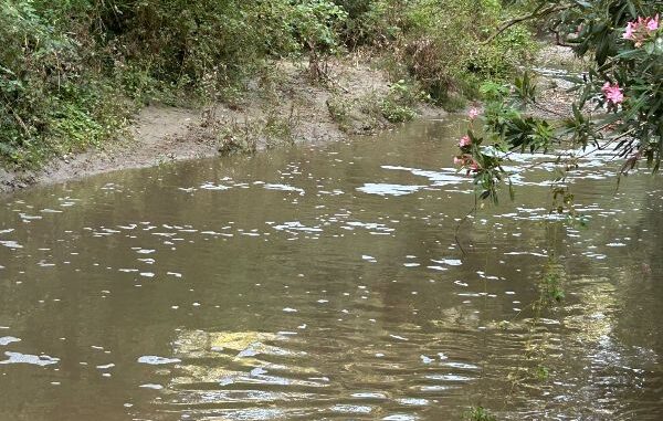 percolato fiume2 nicà
