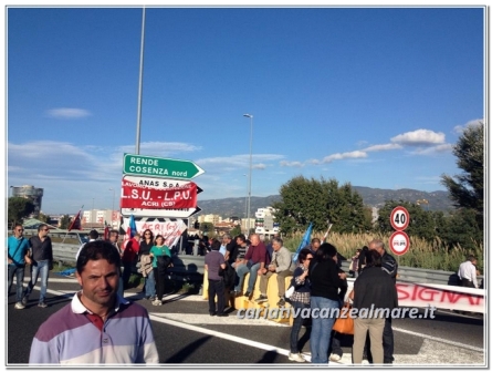 protesta-precari-lsu-lpu-4-11-2013