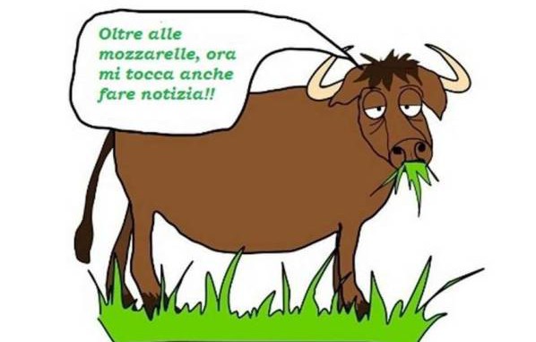 vignetta-bufala-notizia
